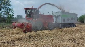 Moldova Miscanthus Harvest