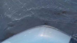 Рыбалка сетями поздней осенью, Ловля карася по заморозкам,