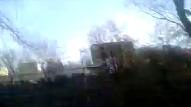 Аппортировка и выполнение команд у чау-чау смотреть онлайн