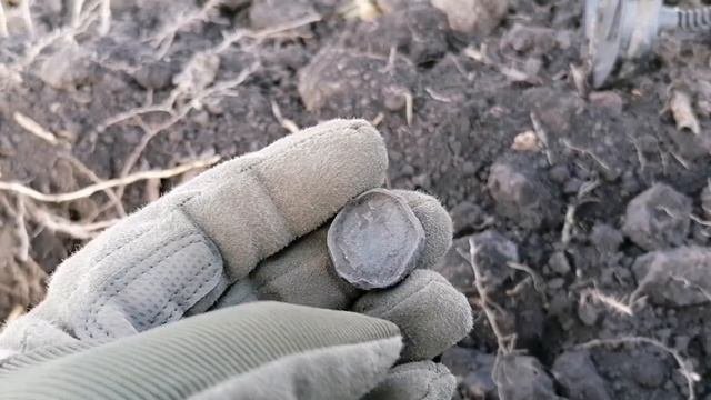 ЧУТЬ НЕ ЛИШИЛСЯ ПРИБОРА. Неприятная встреча.