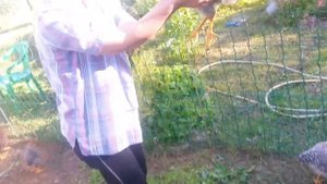 Мои Билефельдеры 3