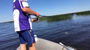 Рыбалка в жару +30!!! 130 болезонг и вертушки блю фокс