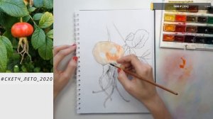 9. Рисуем вместе ШИПОВНИК. Скетч-лето-2020