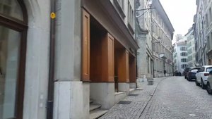 Женева, прекрасная нарезка из прогулок по Женеве 2020-2018.