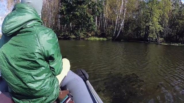 VLOG: Поймали большеносого коврового ГОРБЫЛЯ! смотреть онлайн