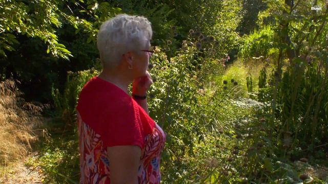 Pronkjewail op 't Nije Laand | Alles Wat Bloeit смотреть онлайн