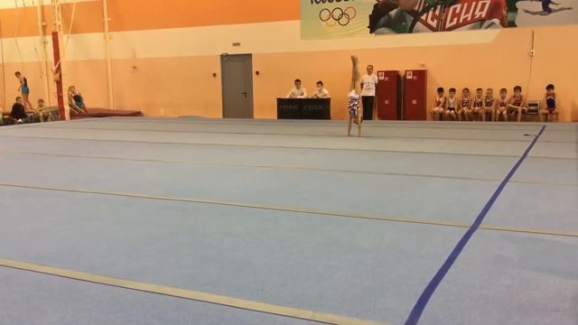 Вольные упражнения. 3-й взрослый разряд