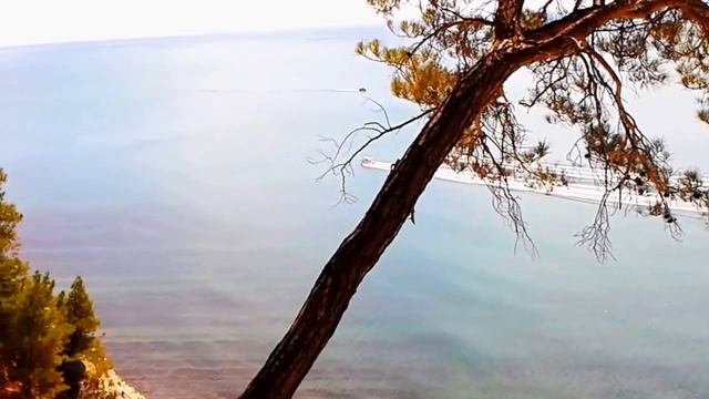 Сосновая Роща, не доезжая Дивноморское.Отдыхали дикарями...Супер место...В Джанхоте. смотреть онлайн