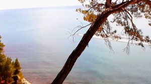 Сосновая Роща, не доезжая Дивноморское.Отдыхали дикарями...Супер место...В Джанхоте.
