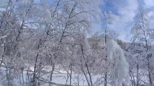 Тайга в тайге ч.25.