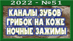 Работа по каналам зубов. Причины появления грибка на коже. Зажимы по ночам. Нехватка минералов?