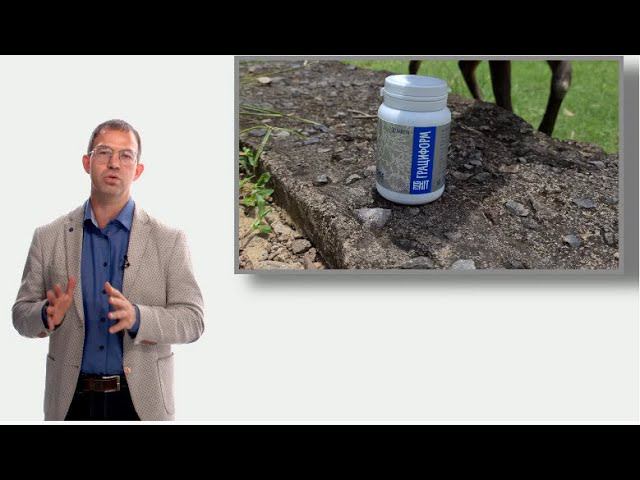 FORISE GROUP. Грациформ - нормализация обмена веществ на клеточном уровне. Врач Рудин П.В.