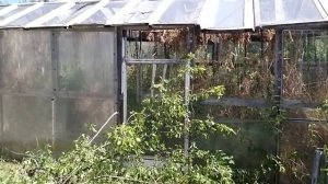 Купили Дачу. Новый проект! часть 1.mp4