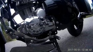 обзор Irbis Garpia 2014 и 2016 гг. выпусков