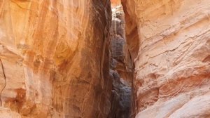 Древний город ПЕТРА в Иордании || The ancient city of PETRA in Jordan (Ru&Eng subtitles)