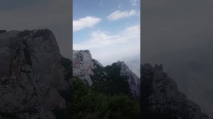 Сары ой