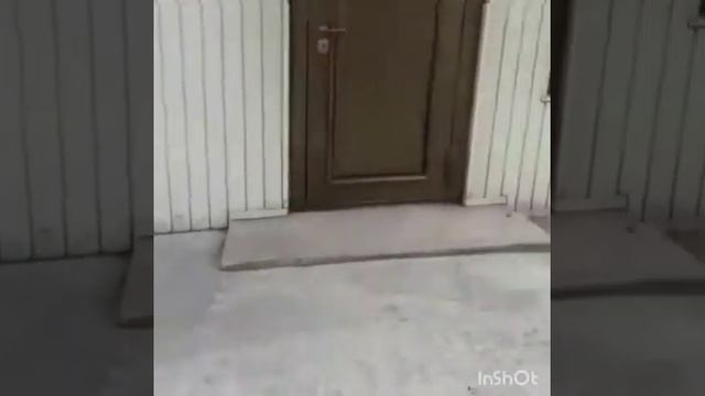 Баня и беседка, спустя 10 лет. смотреть онлайн