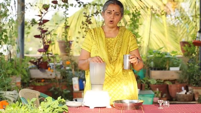 How to Grow Wheatgrass & Make Wheatgrass Juice at Home смотреть онлайн