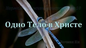 "Одно тело в Христе" Вочман Ни