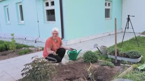 Монтаж капельного полива, посадка роз. Отдыхать хорошо, но дела не ждут. Наша жизнь в деревне