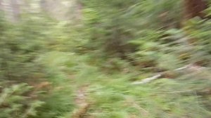 Стройка базовой избы .