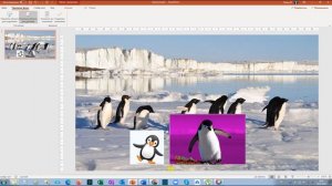 Powerpoint: как удалить фон с картинки и gif-ки?