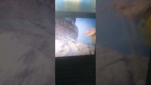 Toshiba satellite c660 i3,ssd256,6gb ddr3 смотреть онлайн