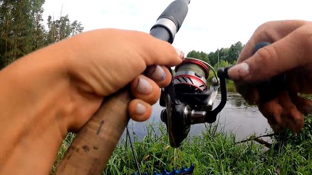 На берегу Реки ГДЕ НИКОГО НЕТ. РЫБАЛКА. Фидер. Спиннинг. Ночёвка. #260 смотреть онлайн