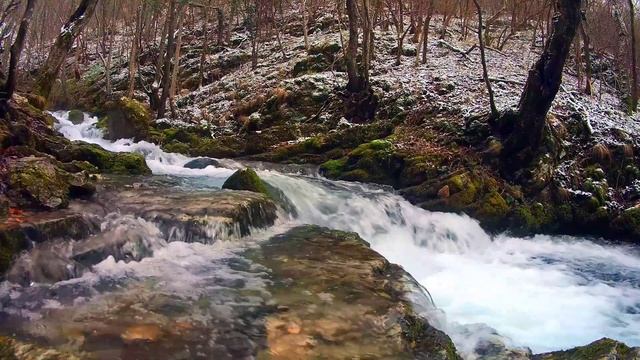 Музыка и видео для релаксации. Водный ручей Music and videos for relaxation. Water stream смотреть онлайн