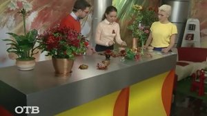 Фантастическая наука бисероплетения от Светланы Сапегиной (13.05.15)