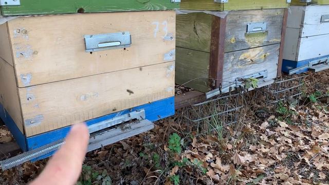 Последние облеты пчёл сезона 2021 смотреть онлайн