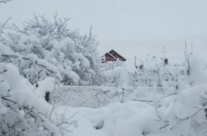 Славянск-на-Кубани – полметра снега за 15 часов!