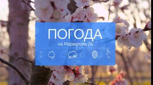 Прогноз погоды на 24.05.2023