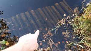 озеро Боровское|Нижегородская обл.|Часть вторая