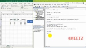 EXCEL VBA ONLINE VIDEOS Part IV - AutoFilter with VBA