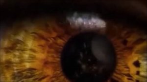 Brigitte M - Send me an Angel