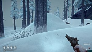 The long dark свои настройки