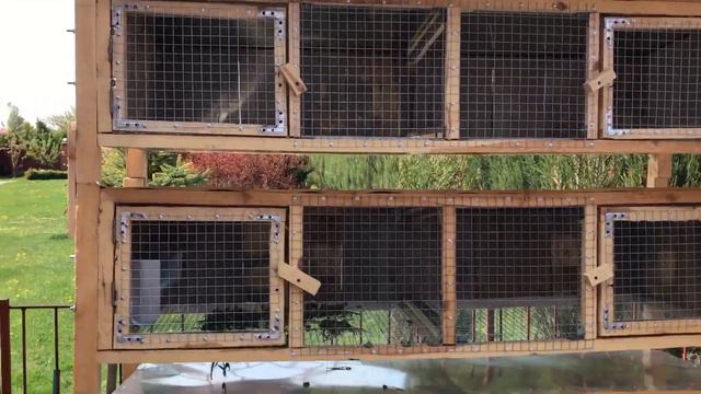 Клетка для кроликов своими руками смотреть онлайн