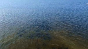 Турбаза в Саратове