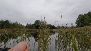 Ловля ЩУКИ на МЕЛКОВОДЬЕ ОСЕНЬЮ! Рыбалка на СПИННИНГ в СЕНТЯБРЕ!