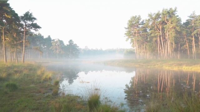 Когда ТРОИЦА в 2022 году. Что нельзя делать на Троицу. Народные традиции и приметы на Троицу.