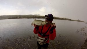 ТОП 5: поимок крупных голавлей с берега от Александра Волынкина (Голавлемания)