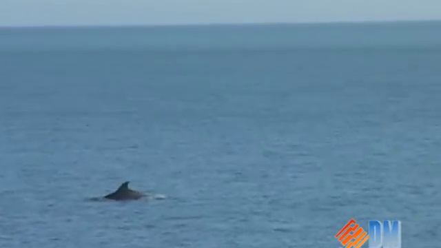 Абхазия.Неделя длинною в МИГ... смотреть онлайн