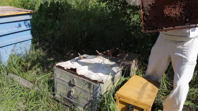 на пасеке на "Медовый спас" смотреть онлайн