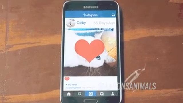 Когда случайно лайкнул чужое фото смотреть онлайн