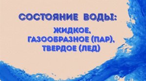 Открытый конкурс детских проектов естественно-научного направления  "В науку первые шаги"