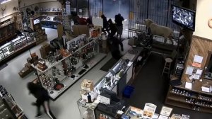 Ограбление оружейного магазина (США)