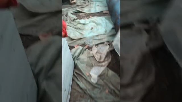 Как разжечь уголь антрацит в обычной печке смотреть онлайн