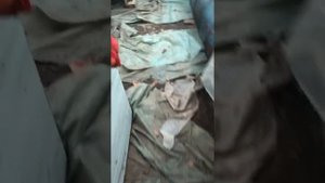 Как разжечь уголь антрацит в обычной печке