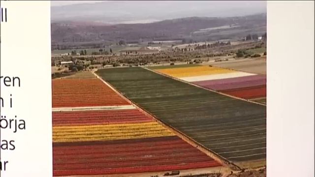 Magasin, v. 51 смотреть онлайн